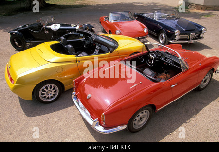 Auto, 90 Jahre Alfa Romeo, Landschaft, Natur, Sommer, Oldtimer, 1960er Jahre, sechziger Jahre, von hinten nach vorne:: Giulietta Spider Veloce Stockfoto