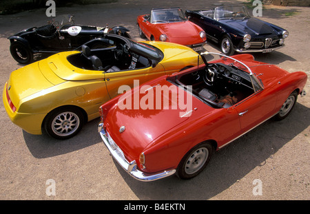 Auto, 90 Jahre Alfa Romeo, Landschaft, Natur, Sommer, Oldtimer, 1960er Jahre, sechziger Jahre, von hinten nach vorne:: Giulietta Spider Veloce Stockfoto