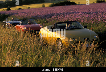 Auto, 90 Jahre Alfa Romeo, Landschaft, Natur, Sommer, Oldtimer, 1960er Jahre, sechziger Jahre, gelb, Alfa Romeo Spider 2.0 Twin Spark, con Stockfoto