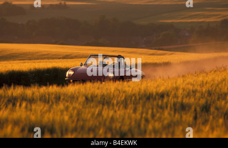 Auto, 90 Jahre Alfa Romeo, Landschaft, Natur, Sommer, Sonnenuntergang, Oldtimer Auto, 1960er Jahre, sechziger Jahre, 2600 Spider Touring 1963, Cabrio Stockfoto