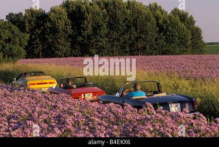 Auto, 90 Jahre Alfa Romeo, Landschaft, Natur, Sommer, Oldtimer, 1960er Jahre, sechziger Jahre, gelb, Alfa Romeo Spider 2.0 Twin Spark, con Stockfoto