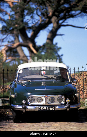 Auto, Tatra 603, Modelljahr 1964, Oldtimer, 1960er Jahre, sechziger Jahre, grün, Limousine, stehend, Vorderansicht, Landschaft, Landschaft Stockfoto