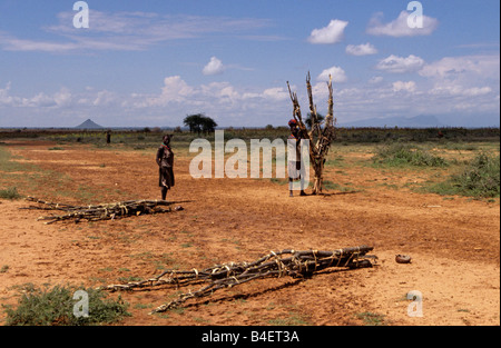 Ethnische Karamojong Dorfbewohner sammeln Zweige, Karamoja, Uganda Stockfoto