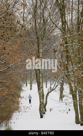 Winter im Wald - winter, Joggen Stockfoto