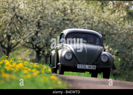 PKW, VW, Volkswagen, Käfer Typ 1, Brezel Käfer, Limousine, Oldtimer, Baujahr 1949-1953, 1940er Jahre, vierziger Jahre, 1950er Jahre, 50er Jahre, l Stockfoto