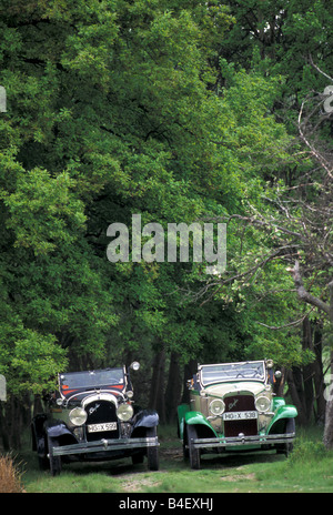 Auto, Chrysler 72, Chrysler 65, Oldtimer, Baujahr 1928, Cabrio, Cabrio Spitze, offen stehend, Frontansicht, si Stockfoto