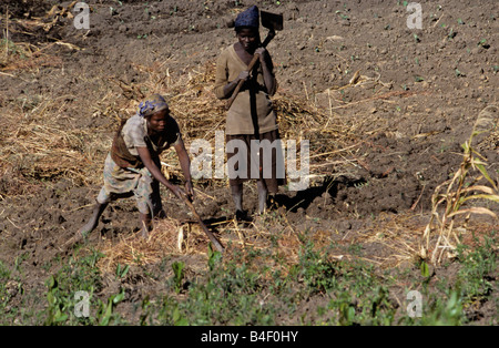 Arbeitnehmer bei einer Landwirtschaft Sanierungsprojekt im kriegszerstörten Angola. Stockfoto