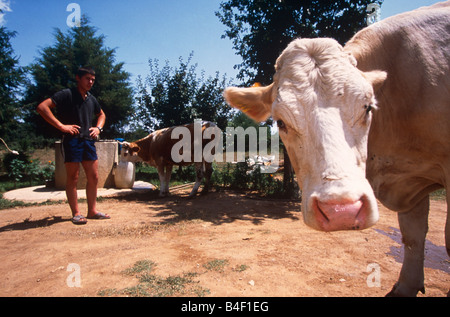 Bauer mit Kuh in Bauernhof, Kosovo, Albanien Stockfoto