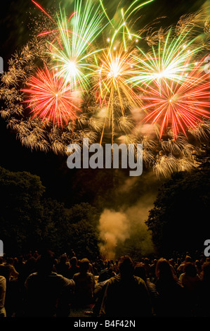 Menschenmenge beobachten nächtlichen Feuerwerk Stockfoto