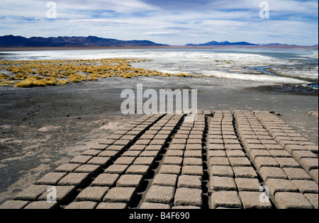 Lehmziegeln zum Trocknen in der Sonne an den Aguas Termas Thermalwasser hoch gelegenen heißen Quellen in den Anden in Bolivien auslegen Stockfoto