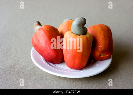 Cashew-Frucht und Nuss auf eine weiße Porzellan-Untertasse Stockfoto