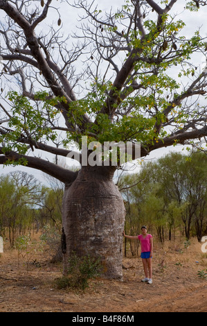 Ein junges Mädchen, das neben einem hohen Bohnenbaum in der Kimberley-Region in Western Australia steht Stockfoto