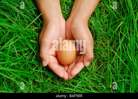 Eiern ein Vogel in der Hand mit grünen Rasen Hintergrund Stockfoto