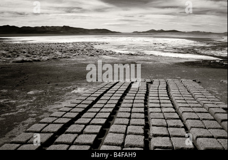 Lehmziegeln zum Trocknen in der Sonne an den Aguas Termas Thermalwasser hoch gelegenen heißen Quellen in den Anden in Bolivien auslegen Stockfoto