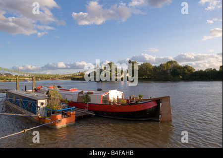 Hausboote vor Anker von am Thames River von Hammersmith Bridge London W6 Vereinigtes Königreich Stockfoto