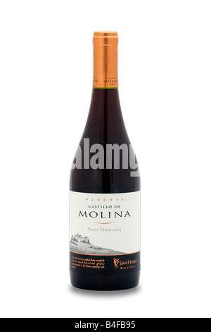 Reserva Castillo de Molina Pinot Noir 2005 rot Wein chile Stockfoto