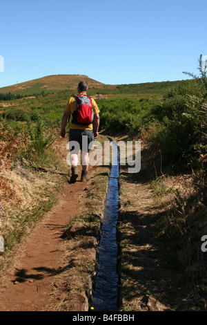 Wanderer auf dem Farn Weg zum Pico Ruivo Paul Stockfoto