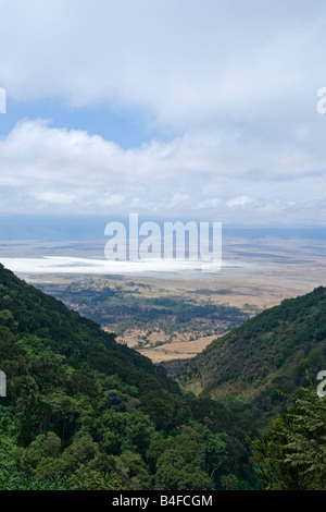Tansania Ngorongoro Nationalpark den Salzsee im Krater Stockfoto