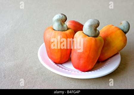 Cashew-Frucht und Nuss auf eine weiße Porzellan-Untertasse Stockfoto