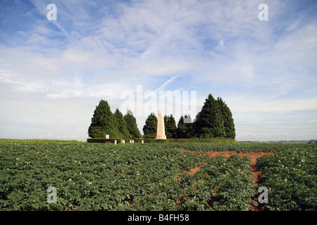 Das NZ Denkmal für die NZ-Division aus der 1. Schlacht an der Somme, in der Nähe von Longueval, Frankreich. Stockfoto