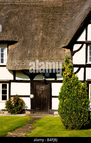 Nahaufnahme von der Vorderseite des typisch englischen reetgedeckte Landhaus in das Dorf von allen Cannings, Wiltshire, England, große Br Stockfoto