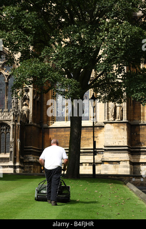 Gärtner mäht den Rasen an der Kathedrale von Lincoln, Lincoln, England, U.K Stockfoto