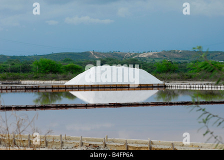 Die Salt Flats Las Salinas de Cabo Rojo Puerto Rico Stockfoto