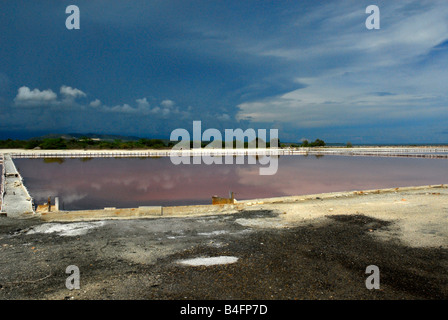 Die Salinen, Las Salinas de Cabo Rojo Puerto Rico Stockfoto