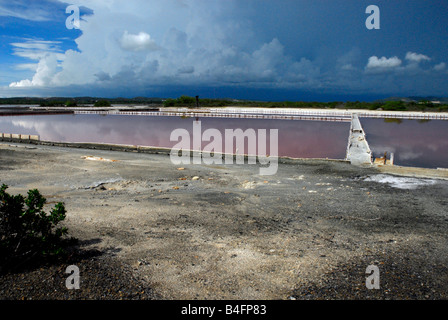 Die Salinen, Las Salinas de Cabo Rojo Puerto Rico Stockfoto