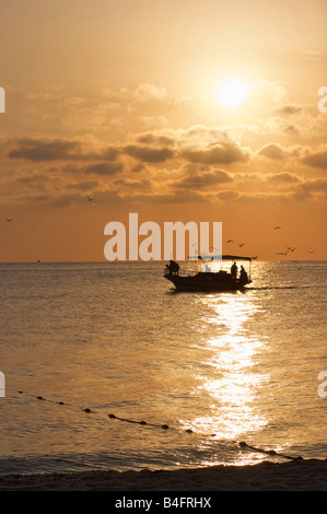 Ein Fischerboot gefolgt von einem Schwarm von Möwen vergeht, in der Nähe einer leeren tunesischen Strand bei Sonnenaufgang am frühen Morgen Stockfoto