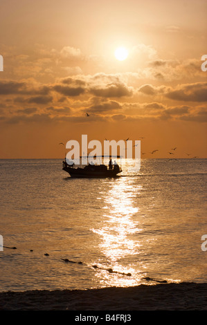 Ein Fischerboot gefolgt von einem Schwarm von Möwen vergeht, in der Nähe einer leeren tunesischen Strand bei Sonnenaufgang am frühen Morgen Stockfoto