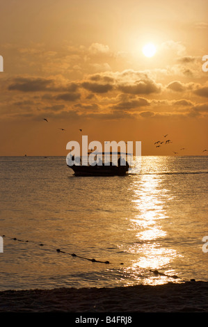 Ein Fischerboot gefolgt von einem Schwarm von Möwen vergeht, in der Nähe einer leeren tunesischen Strand bei Sonnenaufgang am frühen Morgen Stockfoto