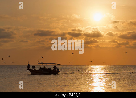 Ein Fischerboot gefolgt von einem Schwarm von Möwen vergeht, in der Nähe einer leeren tunesischen Strand bei Sonnenaufgang am frühen Morgen Stockfoto