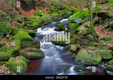 Burbage Brook Padley Schlucht Peak District National Park Derbyshire England Großbritannien Großbritannien Europa Stockfoto