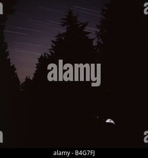 Silhouetten der Bäume gegen einen Sternenhimmel Stockfoto