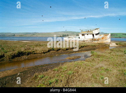 Ein altes Schiff gestrandet und Fäulnis Stockfoto