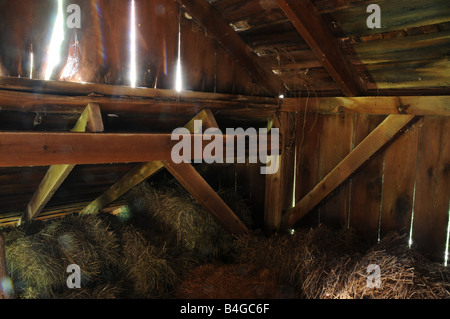 1800 s hölzerne Scheune mit hölzernen Wäscheklammern.  Illinois USA Stockfoto