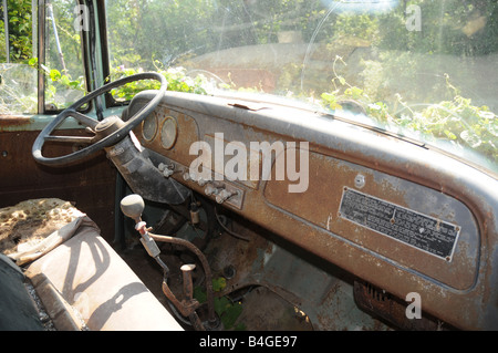 Verlassenen LKW Armaturenbrett mit Reben bewachsen und Unkraut.  USA Stockfoto