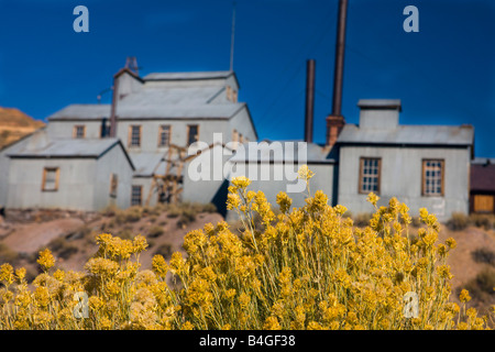 Bürste wächst vor der Standard Mühle, östlich von Bodie, Bodie State Historical Park, Bodie, Kalifornien Stockfoto