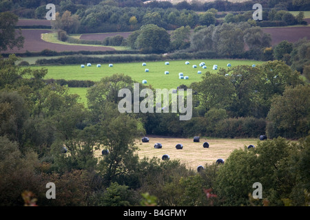 Leicestershire Hügellandschaft mit runden Silageballen Stockfoto