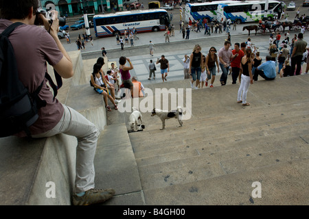 Vorderen Treppenhaus des Kapitol in Havanna, Kuba. Stockfoto