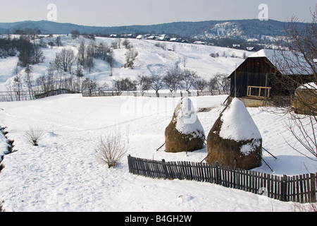 Winterlandschaft in ländlichen Rumänien, Bukowina, Cacica Dorf. Stockfoto