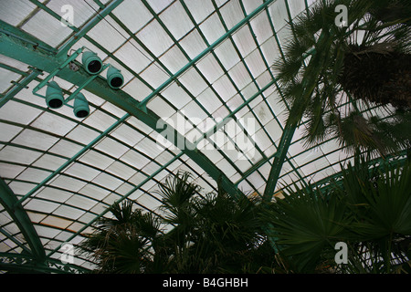 Inneren des Wintergarten, die königlichen Gewächshäuser von Laeken, Brüssel, Belgien - Architekten Alphonse Balat Stockfoto