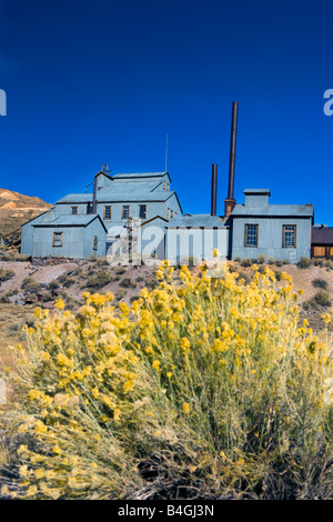 Bürste wächst vor der Standard Mühle, östlich von Bodie, Bodie State Historical Park, Bodie, Kalifornien Stockfoto