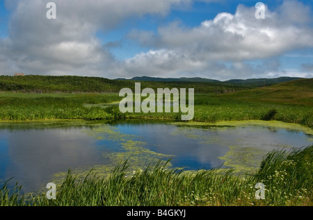 Marsh Ile du Havre Aubert Iles de la Madeleine Quebec Kanada Stockfoto