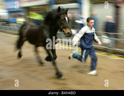 Ballyclare Horse Fair In Nordirland Mai 2003 Simon Fleming von Coleraine mit seinem Pferd der Bestatter Hennef Pferdemesse Mai 2003 Stockfoto