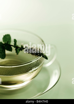 Nahaufnahme der Tasse Kräutertee Stockfoto