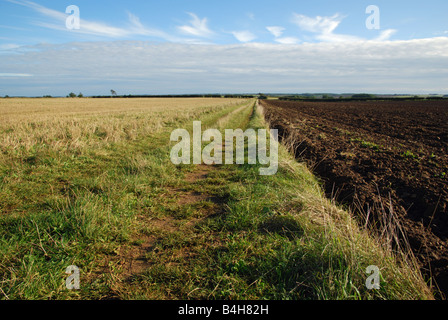 Eine eingeschränkte Byway, Lincolnshire, England. Stockfoto