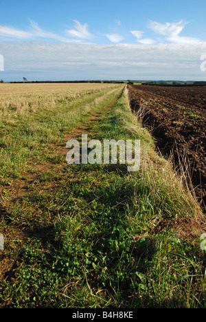 Eine eingeschränkte Byway, Lincolnshire, England. Stockfoto