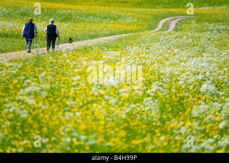 Rückansicht der Frauen in Führungspositionen im Bereich Flachgau Salzburg Österreich Stockfoto